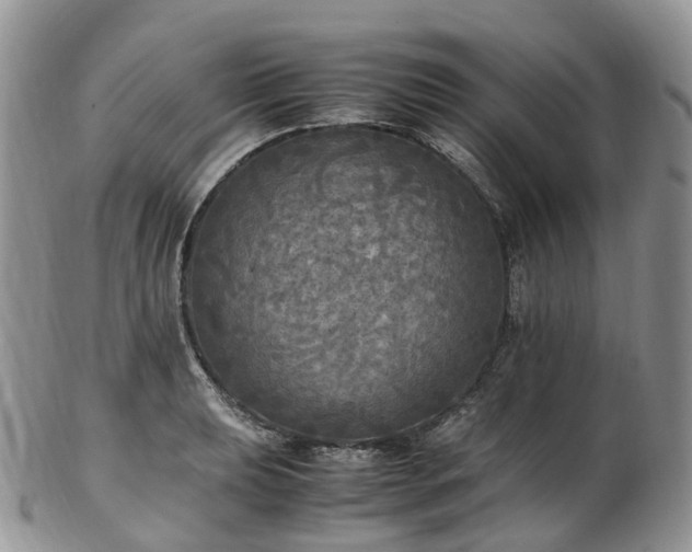 X0000102841039200808251151