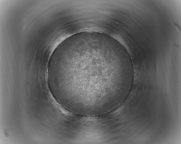 X0000102841040200808251151