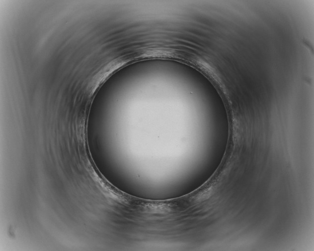 X0000102841041200808251151