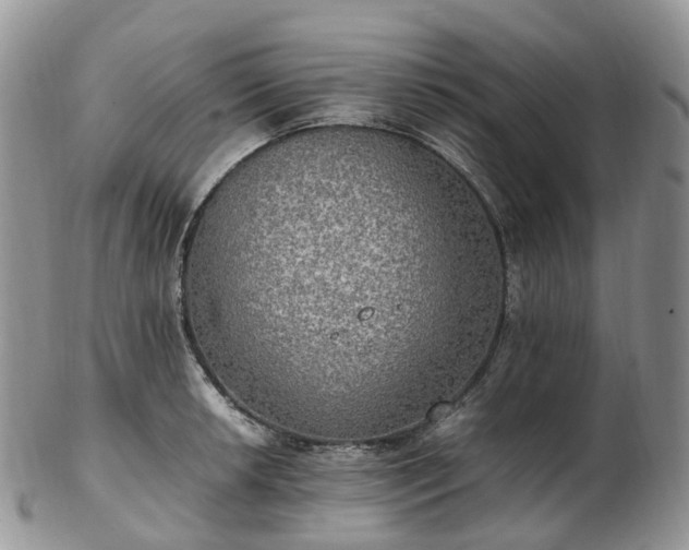 X0000102841042200808251151