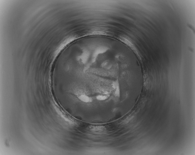 X0000102841043200808251151