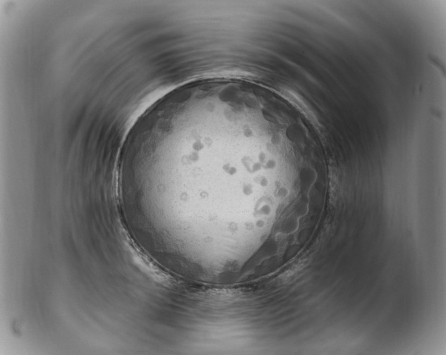 X0000102841044200808251151