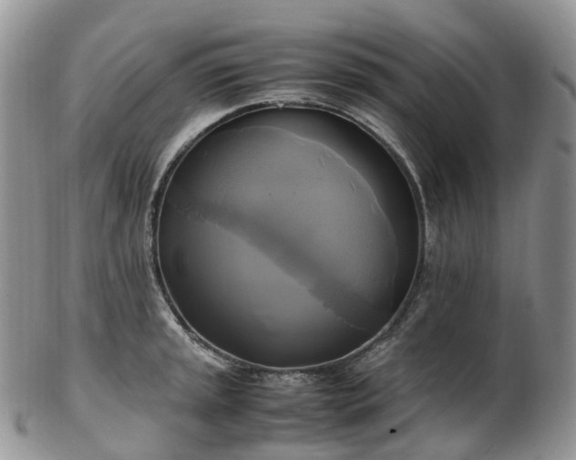 X0000102841045200808251151