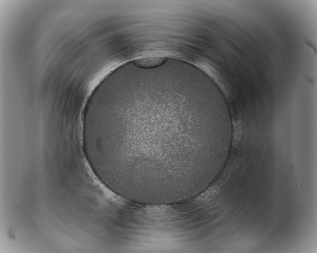 X0000102841046200808251151