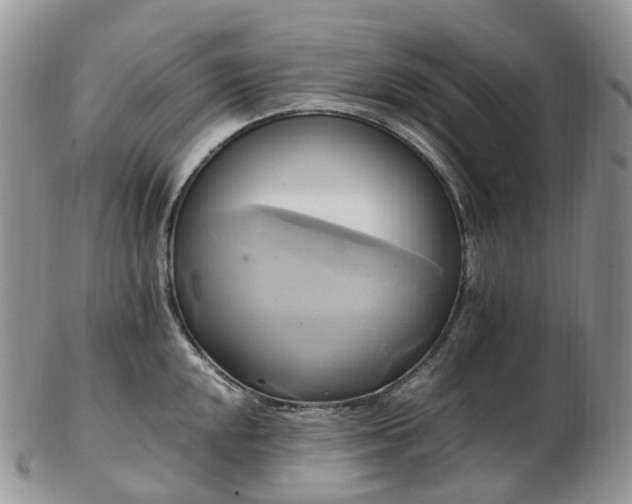 X0000102841048200808251151