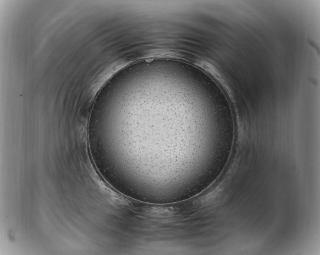 X0000102841049200808251151