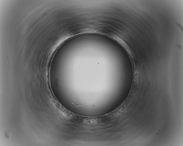 X0000102841051200808251151