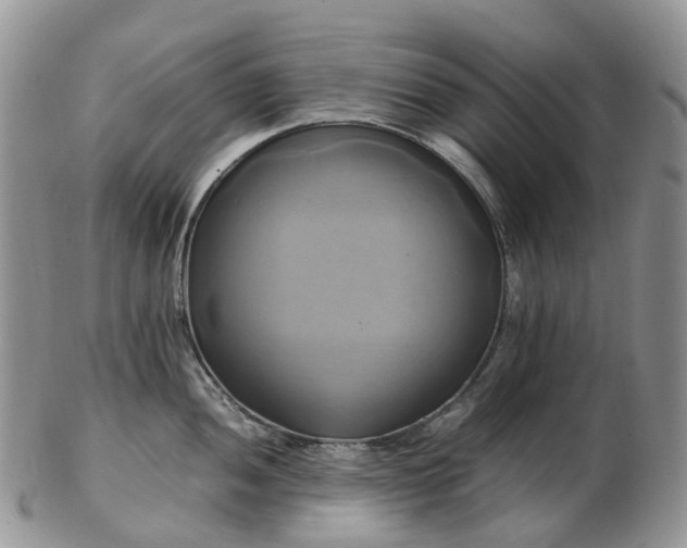 X0000102841052200808251151