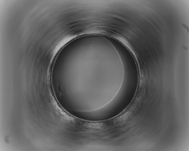 X0000102841053200808251151