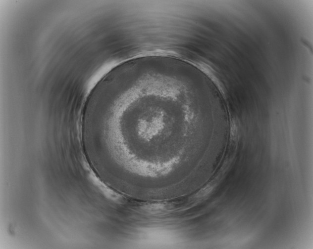 X0000102841054200808251151