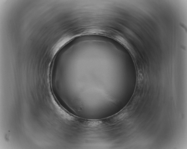 X0000102841055200808251151