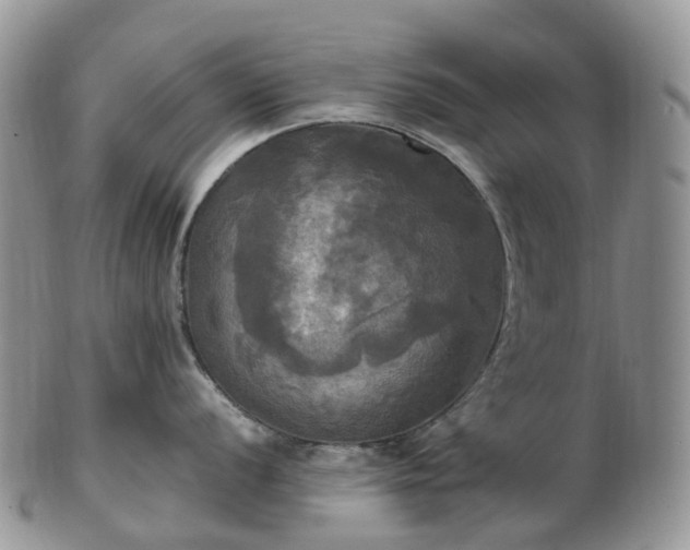 X0000102841056200808251151