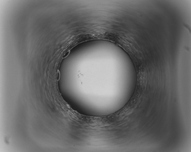 X0000102841057200808251151