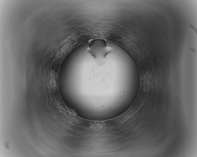 X0000102841058200808251151