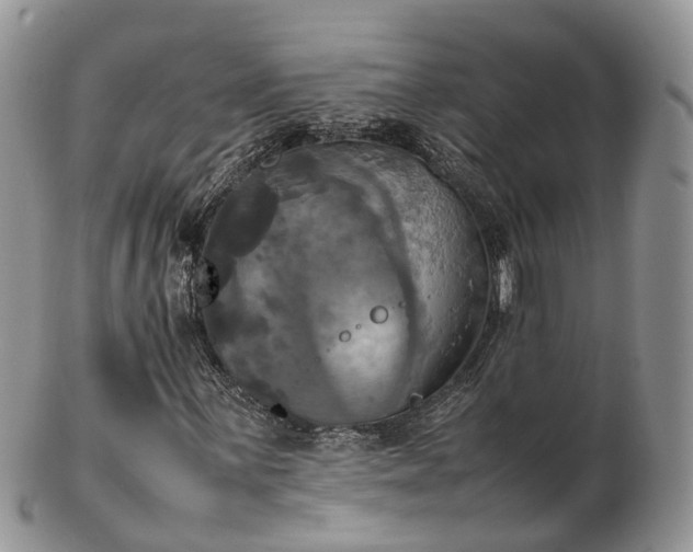 X0000102841059200808251151