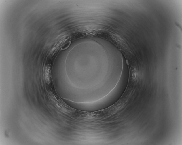 X0000102841060200808251151