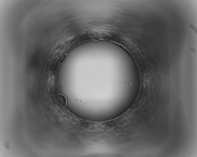 X0000102841061200808251151