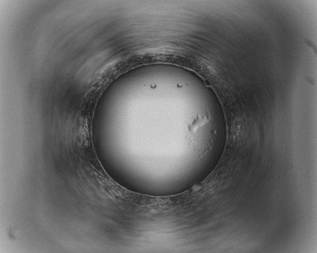 X0000102841062200808251151