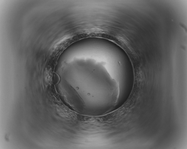 X0000102841063200808251151