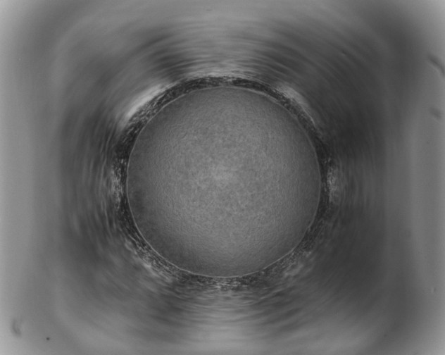 X0000102841064200808251151