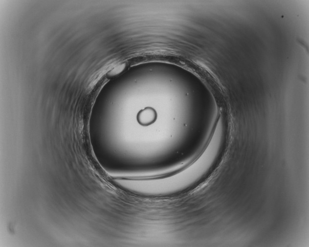 X0000102841065200808251151