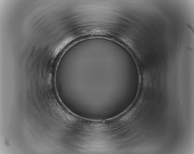 X0000102841066200808251151