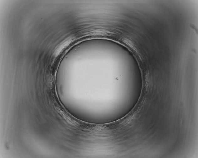 X0000102841067200808251151