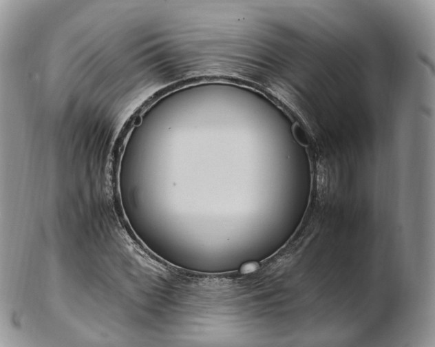 X0000102841068200808251151