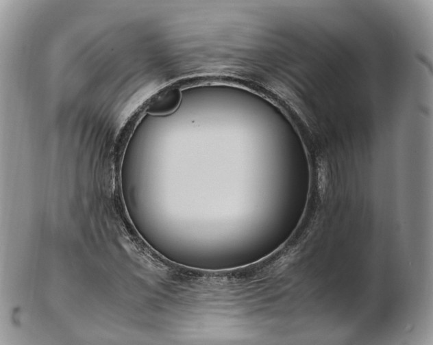 X0000102841069200808251151