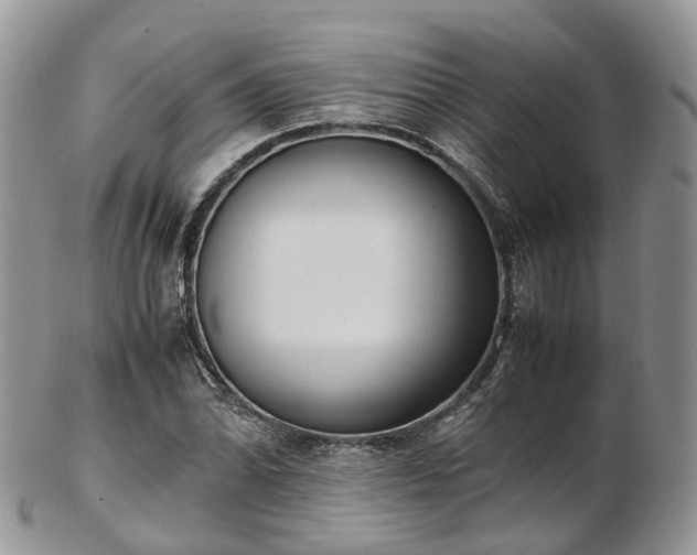 X0000102841070200808251150