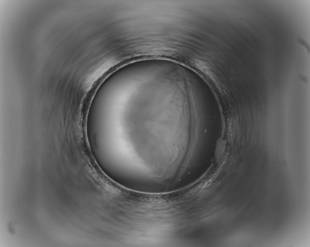 X0000102841071200808251150