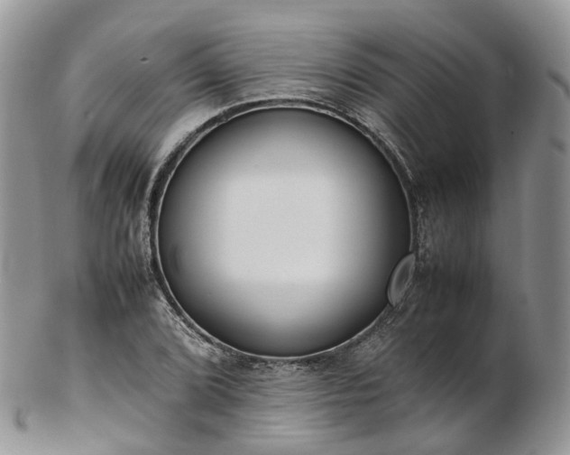 X0000102841072200808251150