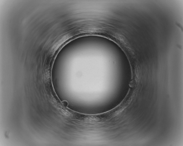 X0000102841073200808251150