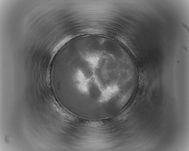 X0000102841074200808251150