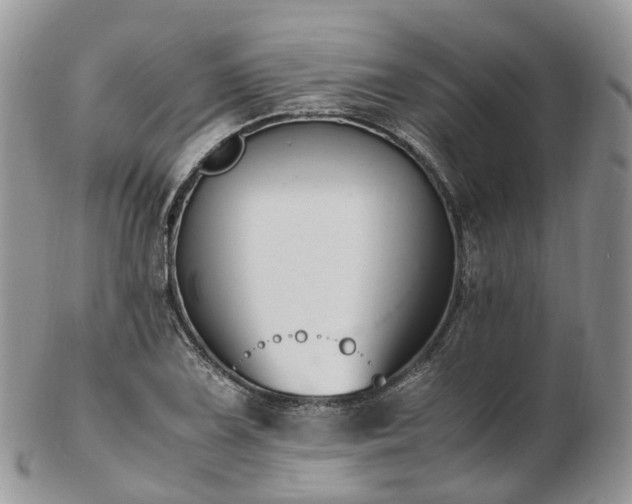 X0000102841075200808251150