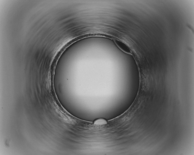 X0000102841076200808251150