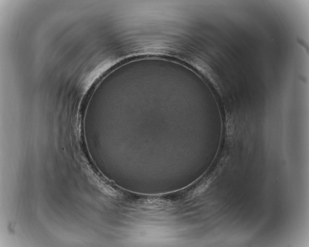 X0000102841077200808251150