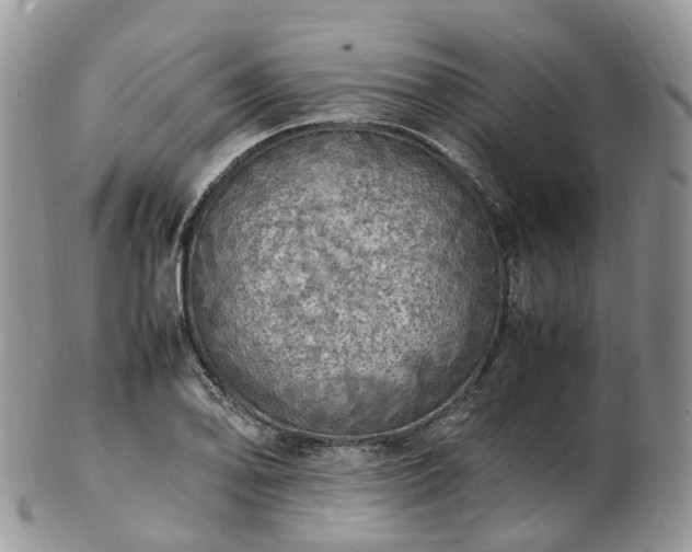 X0000102841078200808251150