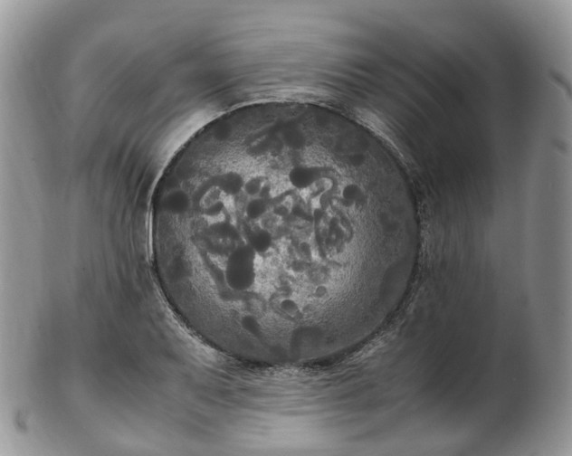 X0000102841079200808251150