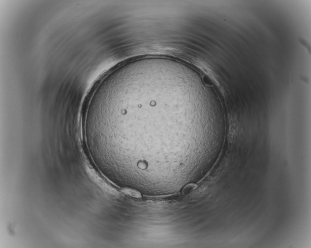 X0000102841080200808251150