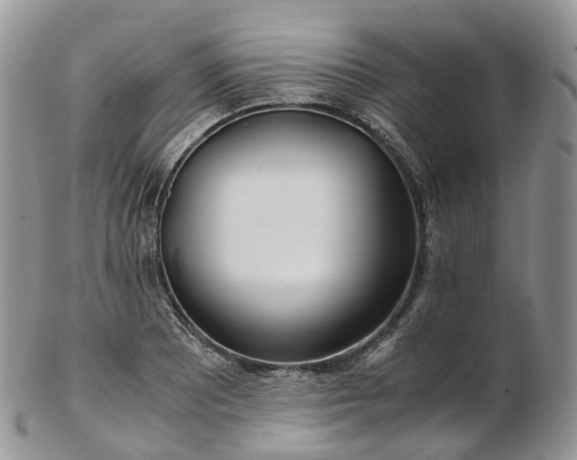 X0000102841081200808251150