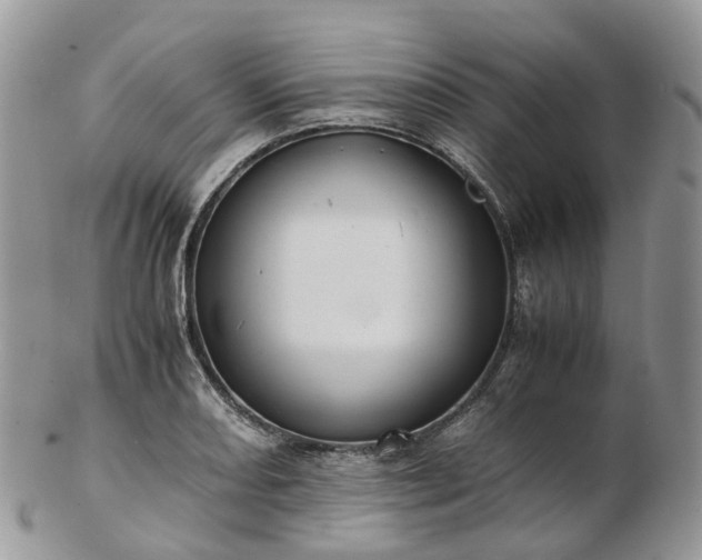 X0000102841082200808251150