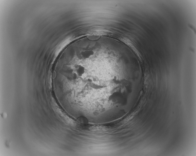 X0000102841083200808251150