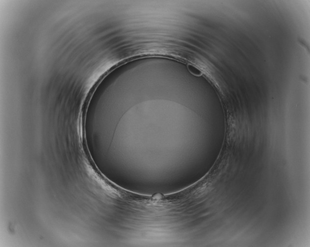 X0000102841084200808251150