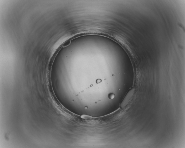 X0000102841085200808251150