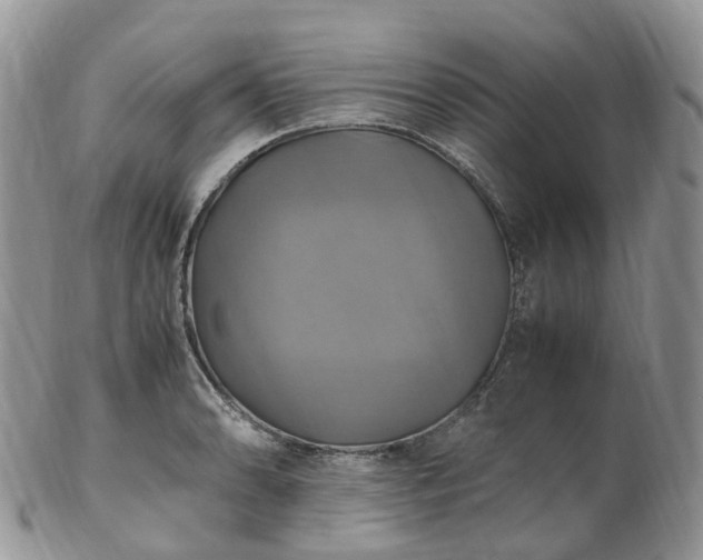 X0000102841086200808251150