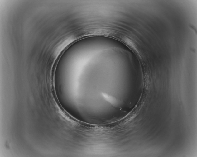 X0000102841087200808251150