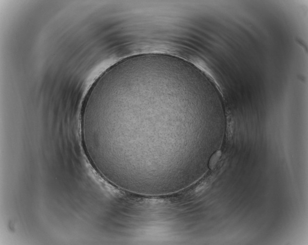 X0000102841088200808251150