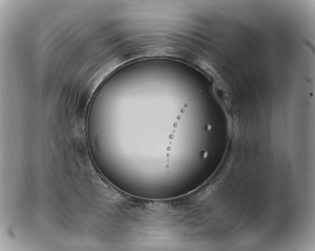 X0000102841089200808251150