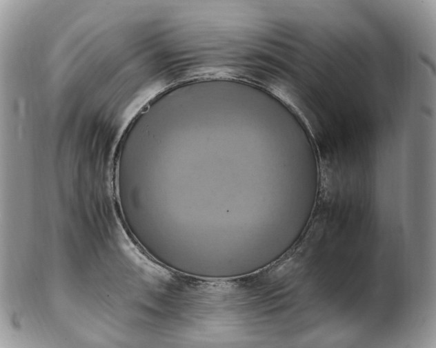 X0000102841090200808251150